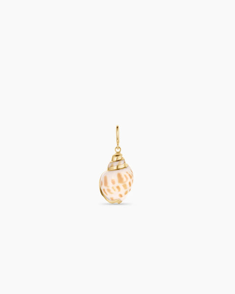 Tulip Shell Charm
