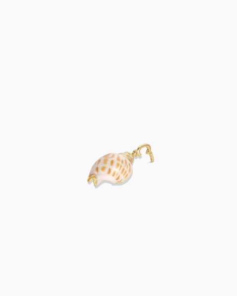 Tulip Shell Charm