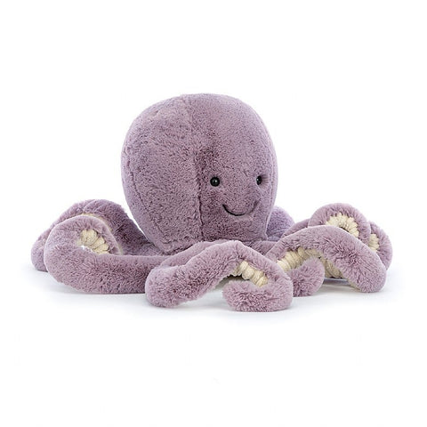 Little Maya Octopus