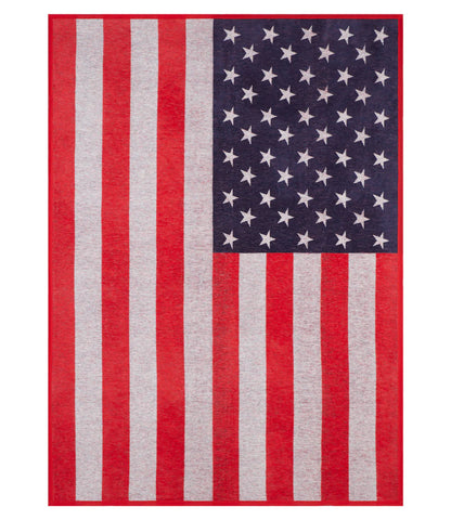 American Flag- Original