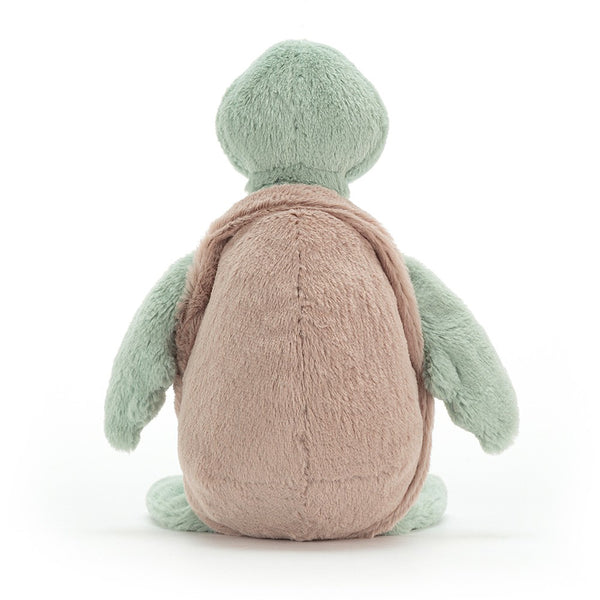 Bashful Turtle- Medium