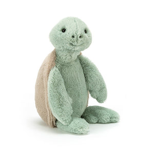 Bashful Turtle- Medium