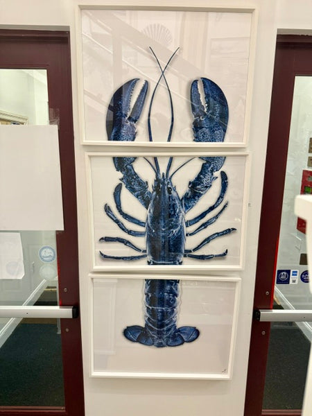Maine Blue Lobster Triptych
