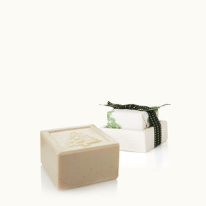 Frasier Fir Bar Soap with Dish