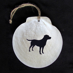 Chatham Shell Ornament- Lab