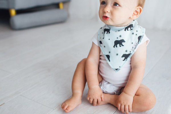 Archer - Set of 4 Bibs