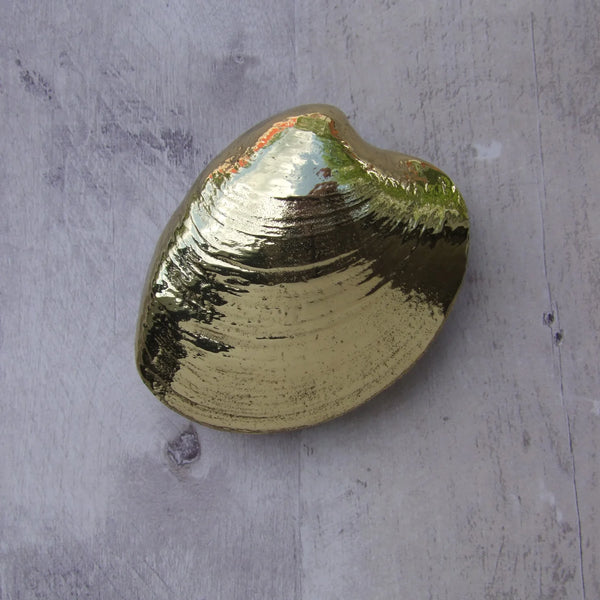 Quahog Door Knocker- Brass