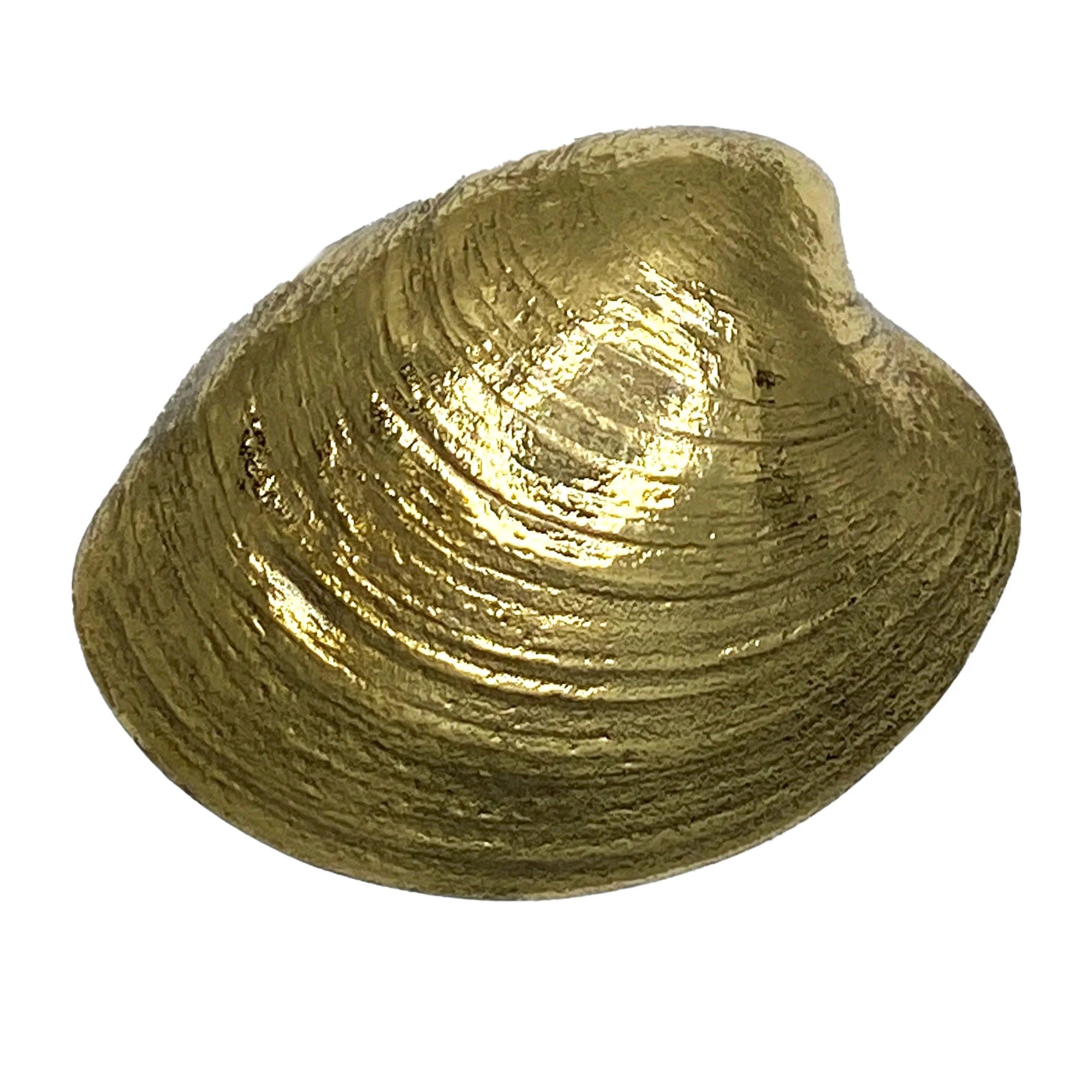 Quahog Door Knocker- Brass