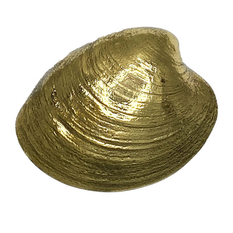 Quahog Door Knocker- Brass