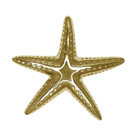 Starfish Door Knocker- Polished Brass